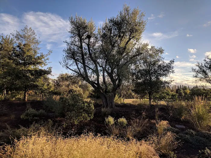Fitness & Wellness Center | Apple Park Picture 7