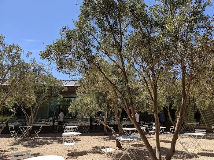 Fitness & Wellness Center | Apple Park Picture 2