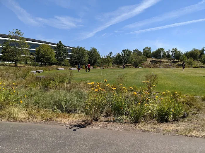 Fitness & Wellness Center | Apple Park Picture 1