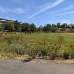 Fitness & Wellness Center | Apple Park