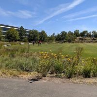 Fitness & Wellness Center | Apple Park ico