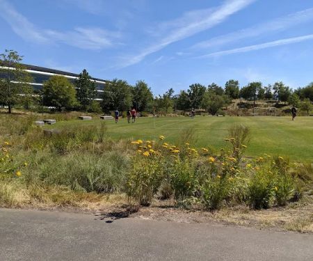 Fitness & Wellness Center | Apple Park