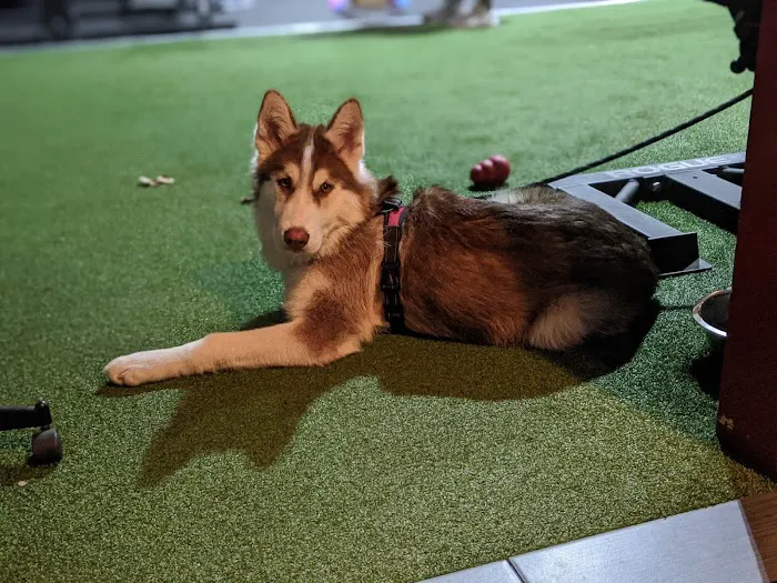 Functional Lifestyles Picture 7