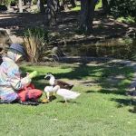 Arrillaga Family Gymnasium