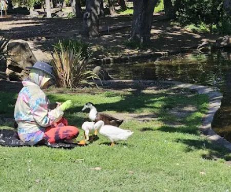 Arrillaga Family Gymnasium