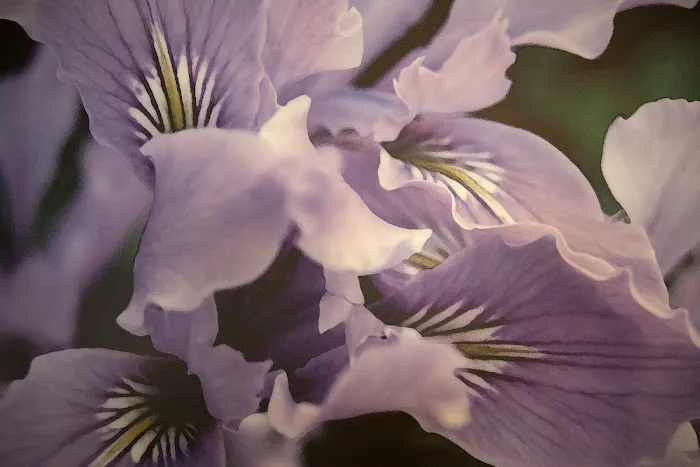 Core Body Connections Picture 6