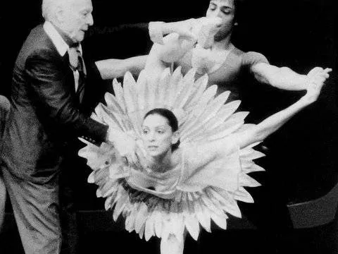 Stephanie Herman Style Picture 2