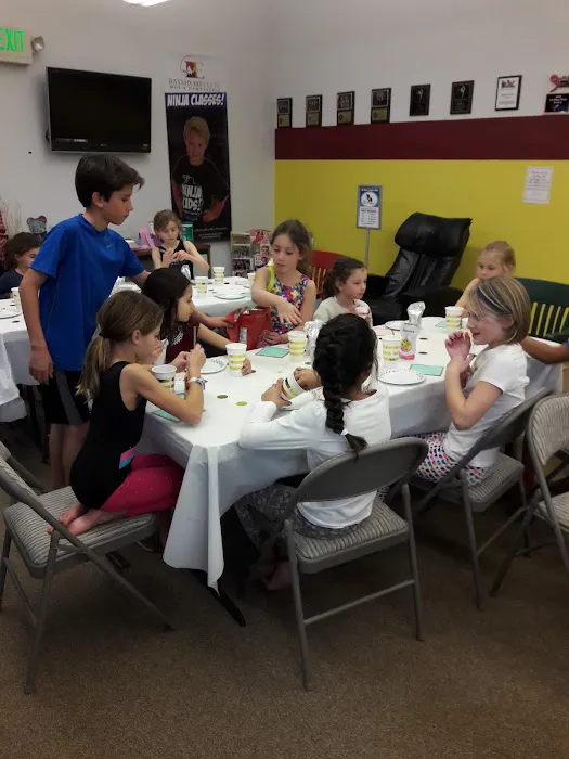 Bayshore Elite Gymnastics Picture 3