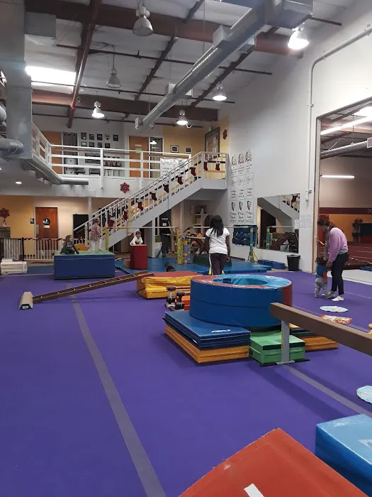 Bayshore Elite Gymnastics Picture 4