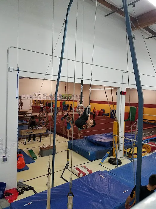 Bayshore Elite Gymnastics Picture 10