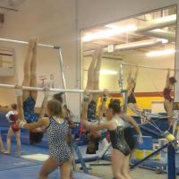 Bayshore Elite Gymnastics ico