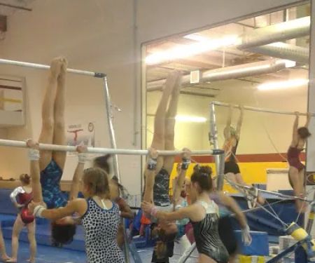 Bayshore Elite Gymnastics