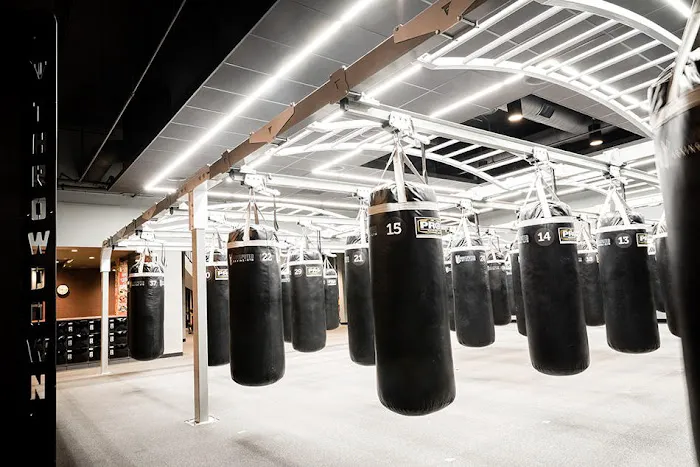 Undisputed Boxing Gym Picture 4