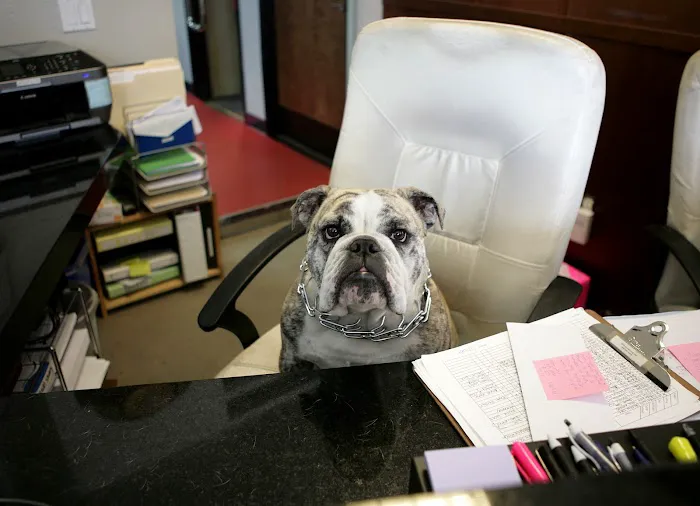Undisputed Boxing Gym Picture 8