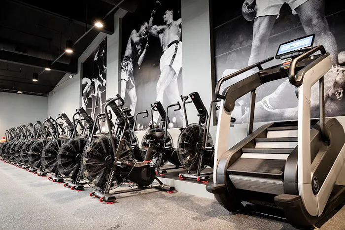 Undisputed Boxing Gym Picture 2