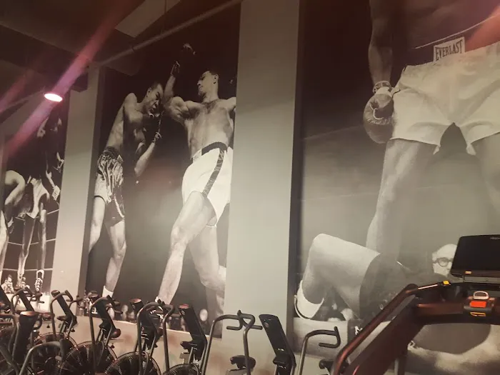 Undisputed Boxing Gym Picture 3