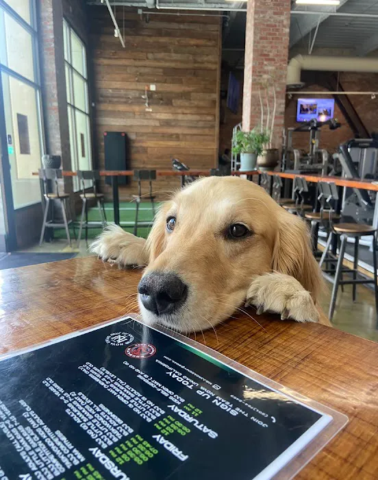 Powerhouse Gym Elite Picture 2