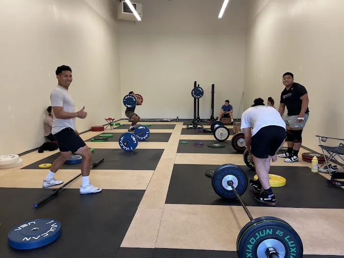 Villain Barbell Picture 3