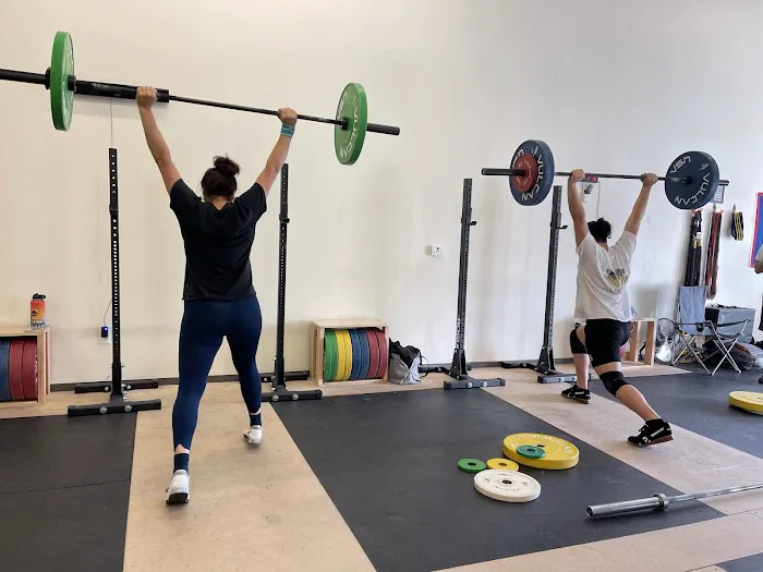 Villain Barbell Picture 1