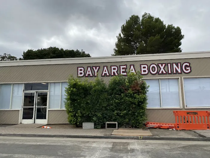 Bay Area Boxing Picture 5