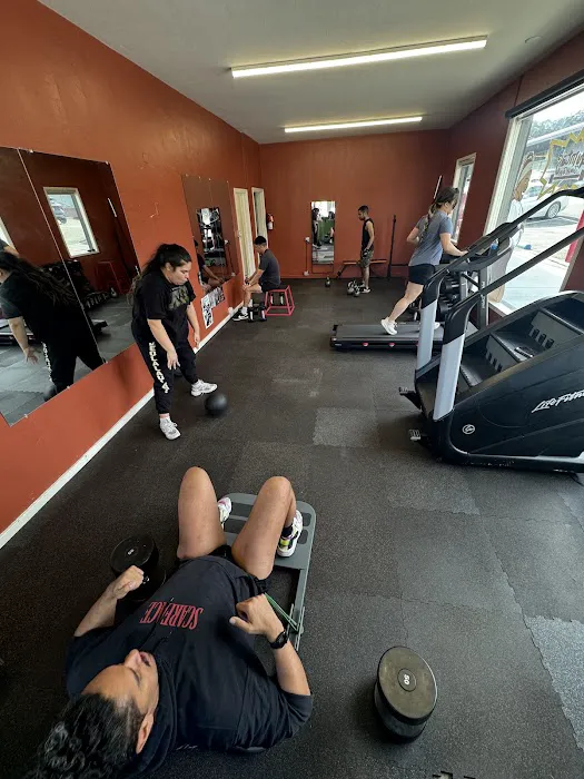 Quinta’s Jungle Gym Picture 1