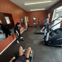 Quinta’s Jungle Gym ico