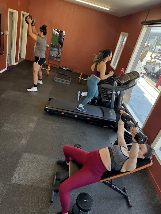 Quinta’s Jungle Gym Picture 2