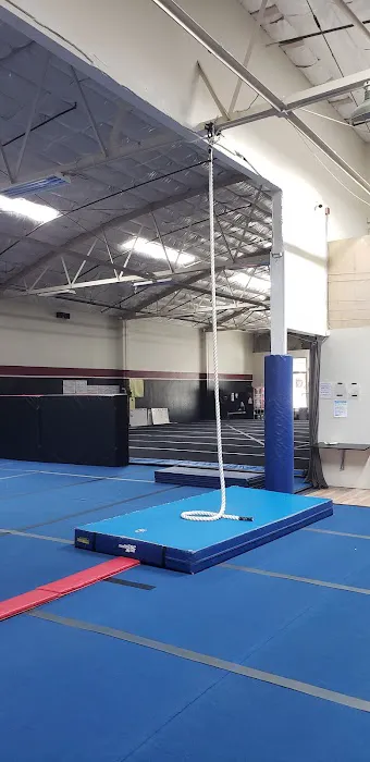 Silicon Valley Elite Cheer Picture 7