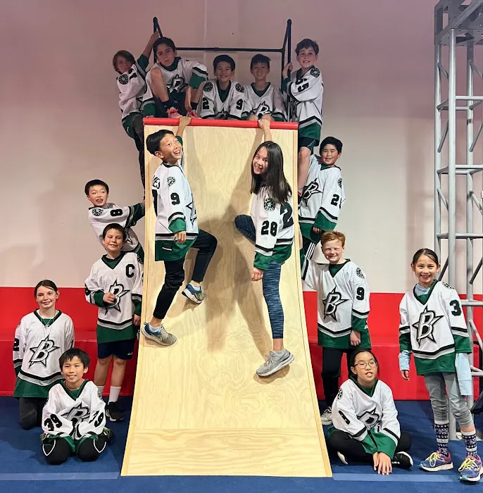 Ninja Republic Picture 5