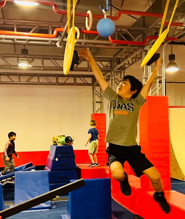 Ninja Republic Picture 4