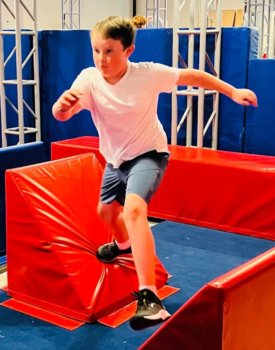 Ninja Republic Picture 7