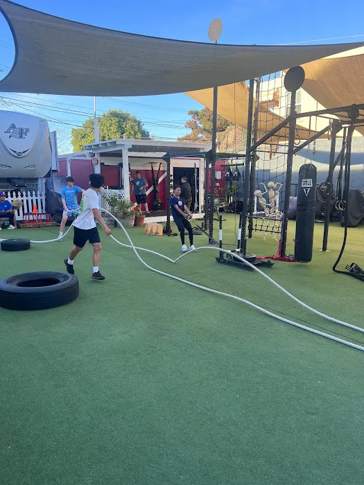 THE FITNESS FARM Picture 6