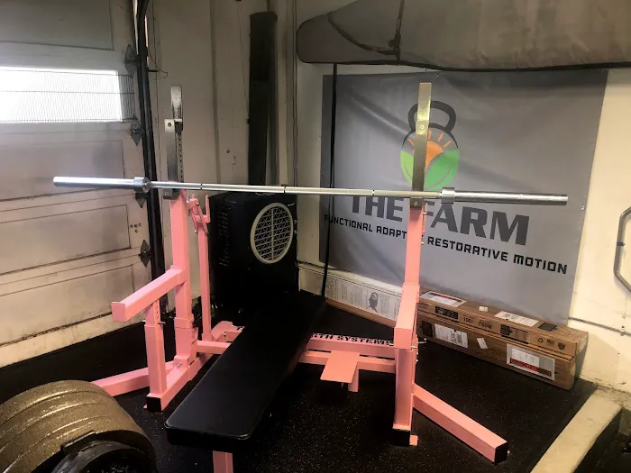 THE FITNESS FARM Picture 3