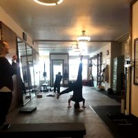 THE FITNESS FARM ico