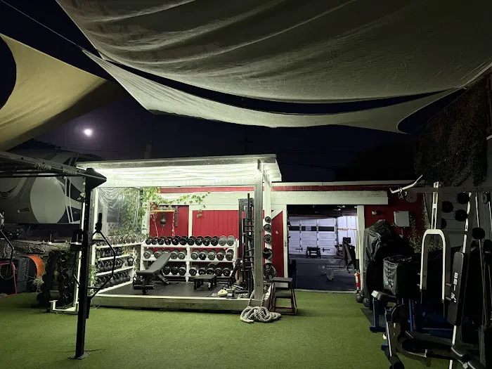 THE FITNESS FARM Picture 5