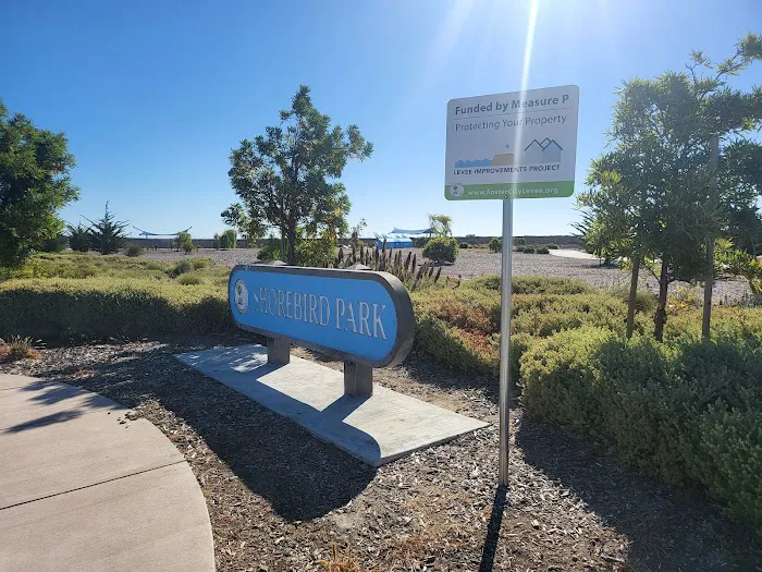 Fitness Court at Shorebird Park Picture 8