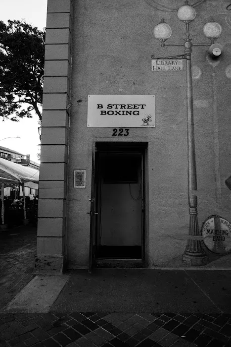 B Street Boxing Picture 4