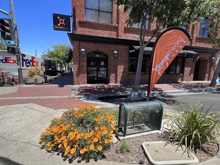 Orangetheory Fitness Picture 4