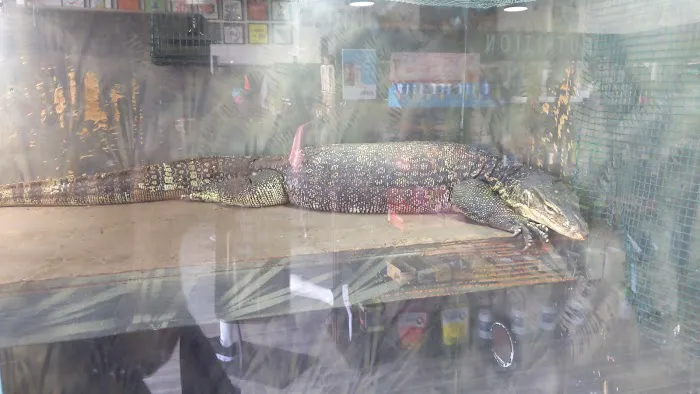 Reborn Fitness Picture 4