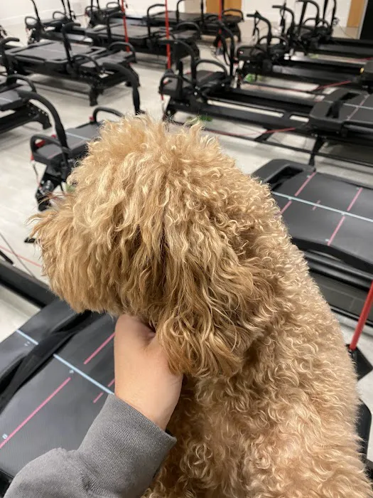 Westcore Studio Picture 7