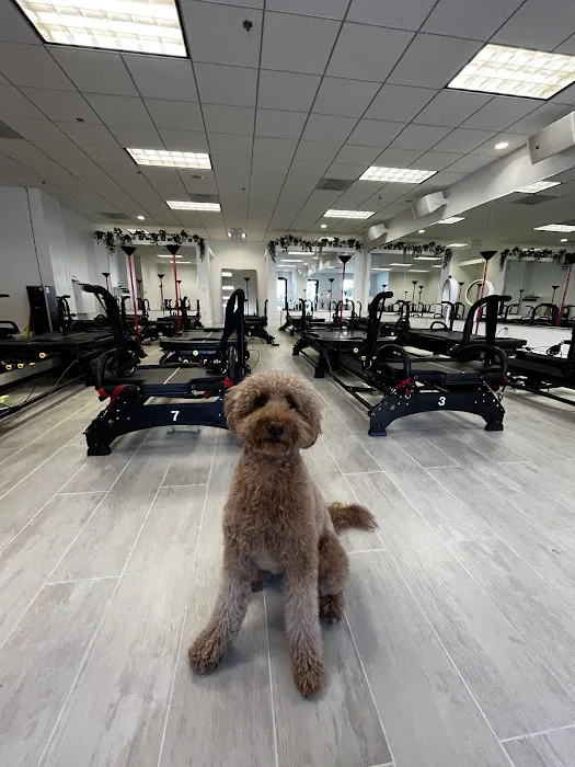 Westcore Studio Picture 3