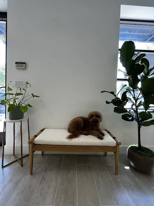 Westcore Studio Picture 2