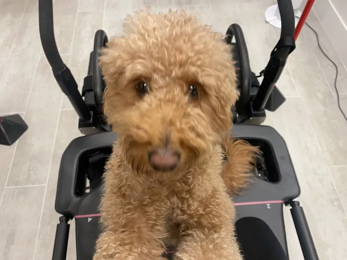 Westcore Studio Picture 9