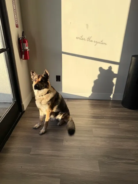 Criminal Fitness Picture 10