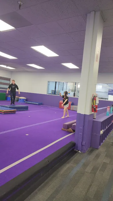 Accel Gymnastics Training Center Picture 3