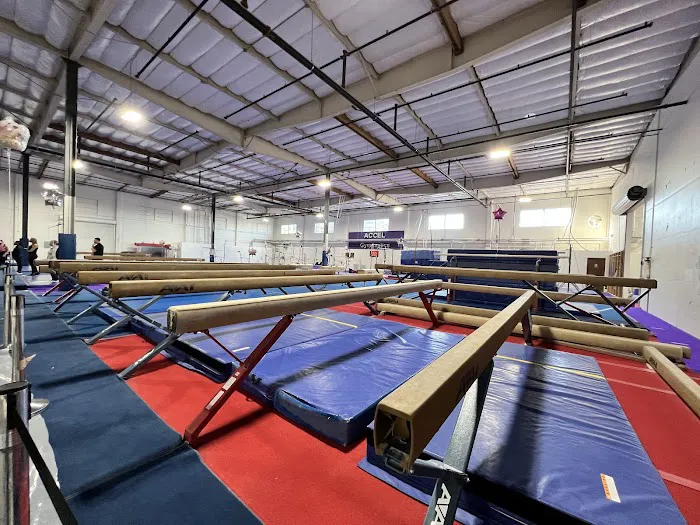 Accel Gymnastics Training Center Picture 5