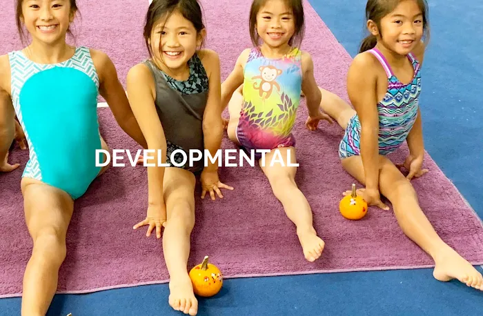 Accel Gymnastics Training Center Picture 1