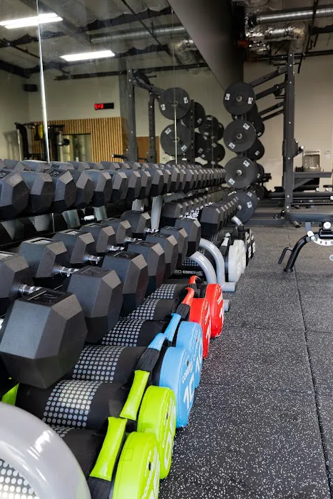 JustTone Fitness Picture 2