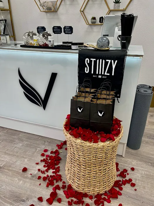 VENNU Yoga - Pilates - Barre -TRX - Dance Studio Picture 1