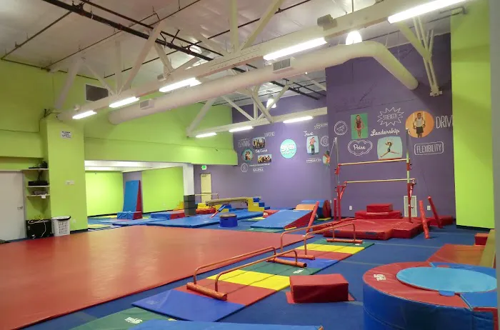 The Little Gym of Millbrae Picture 2